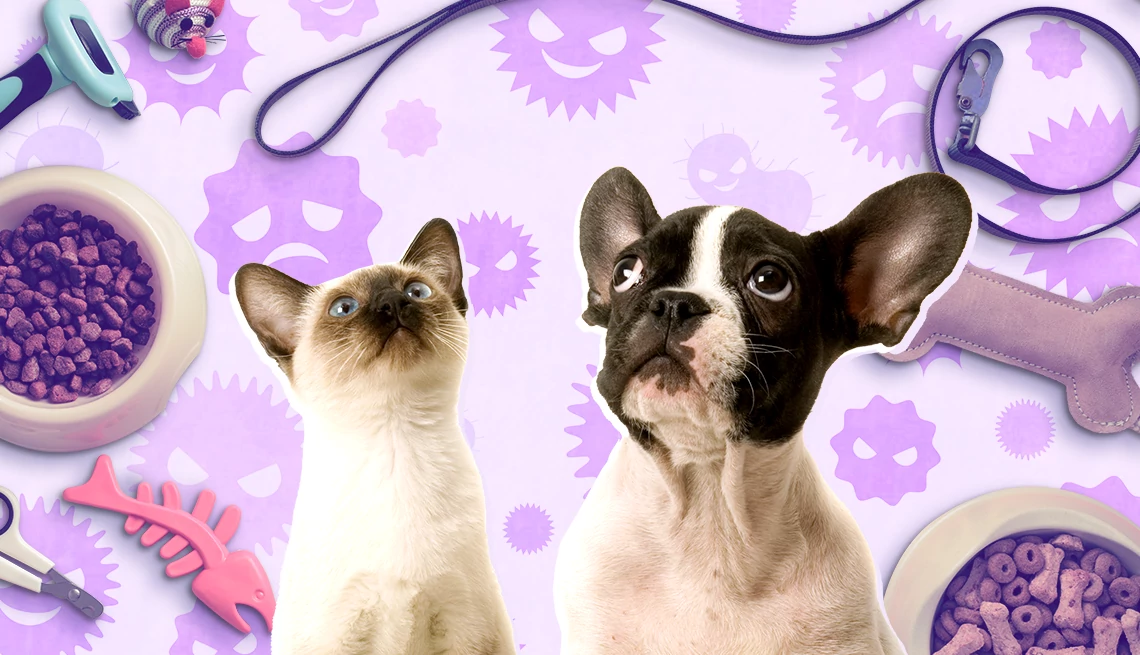 Smart Pets